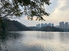 -重庆彩云湖湿地公园