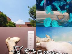 -阿露佳·舌尖上的安吉菜