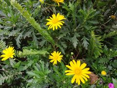 -成都市活水公园