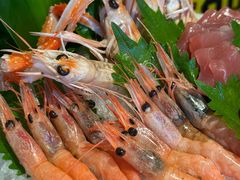 -Mr.Fish鱼鲜生海鲜放题(高德置地冬广场店)