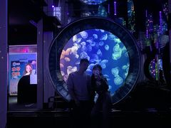 -成都浩海立方海洋公园