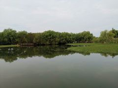 -长兴太湖图影湿地文化园