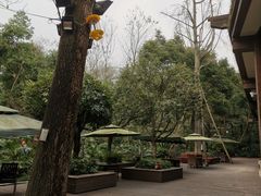 -青城道汤池