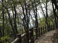 -上海佘山国家森林公园天马山园