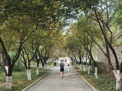 -西安市长乐公园