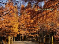 -宝界山林公园