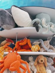 -jELLYCAT(华熙店)