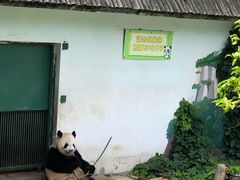 -无锡动物园·太湖欢乐园