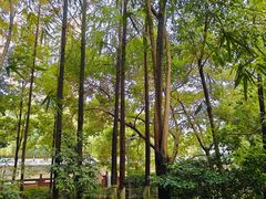 -成都市活水公园