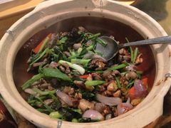 -大鸽饭(岗顶店)