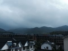 -长兴慧子土特产茶行