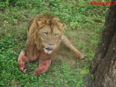 -西安秦岭野生动物园