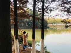 -艾溪湖湿地公园