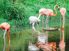 -杭州野生动物世界