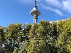 -龙塔