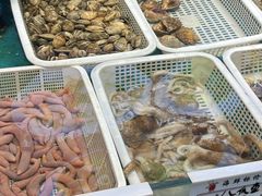 -鲜鲜·鲅鱼圈海鲜(于洪店)