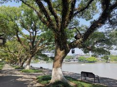 -江心屿景区