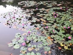 -华南国家植物园-售票处