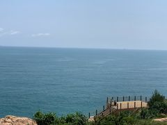 -广东惠东海龟国家级自然保护区