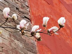 -东华门大街小区