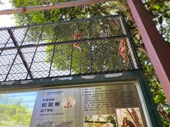 -泉州海丝野生动物世界