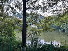 -重庆医科大学附属第一医院(金山院区)