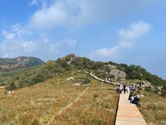 -白草畔自然风景区