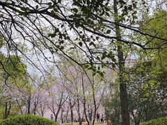 -堤角公园