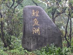 -福建鲤鱼洲酒店