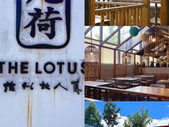 -几荷·恰似故人来(秀水广场店)