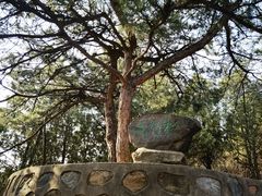 -北京鹫峰国家森林公园