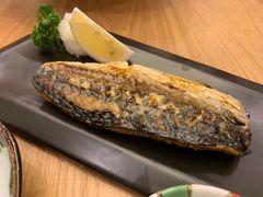 -一本钓鲔鱼屋