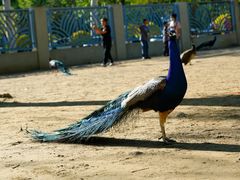 -荆州中山公园动物园