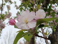 -太阳宫公园