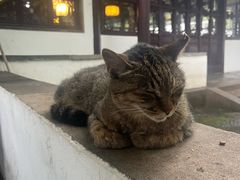 -西园戒幢律寺