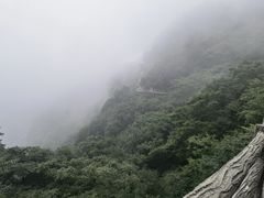 -少华山国家森林公园