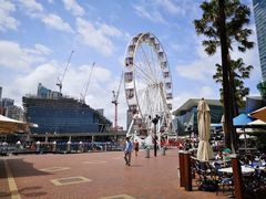 -Pancakes on the rocks(Darling Harbour)