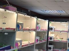 -lincat·猫舍(广州店)