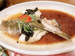 油榄角蒸鲈鱼-虾饺妹·酒家(海珠广场店)