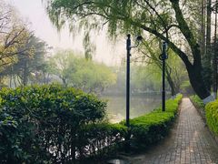-瀛洲公园
