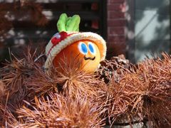 -华东政法大学(松江校区)