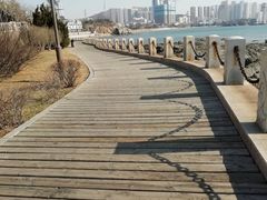 -黑石礁公园