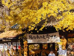 -朝伟清真铜瓢牛肉馆(三十年老·店)