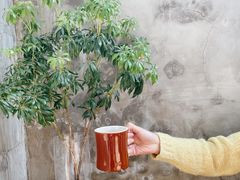 -VOYAGE COFFEE(北锣鼓巷店)