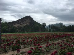 -乌龙峡谷景区