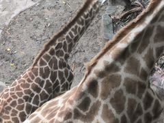 -长鹿旅游休博园