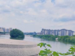 -眉山湿地公园(东坡区)