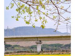 -光明小镇欢乐田园