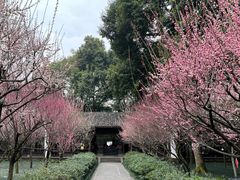 -成都杜甫草堂博物馆