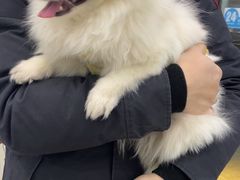 -纳吉亚猫专科动物医院·北北分院